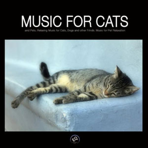 cat calm music for cats