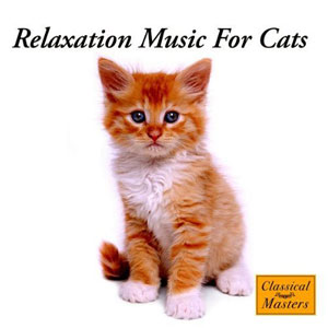cat calm relaxation music