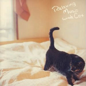 cat calm relaxing music with cat