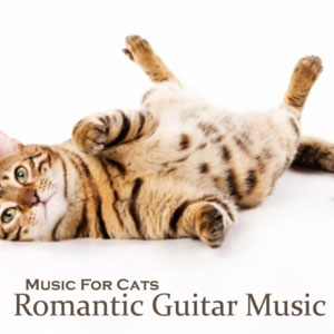 cat calm romantic guitar music