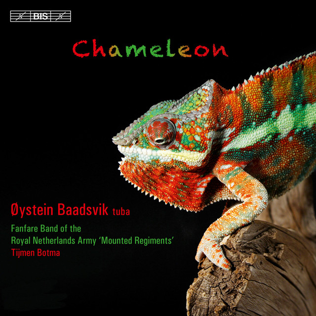 chameleonoysteinbaadsvik