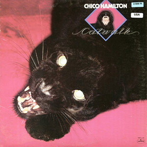 chicohamiltoncatwalk