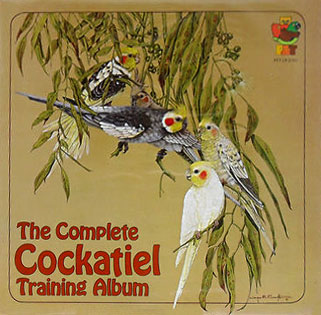 cockatiel training album pet