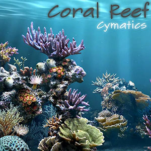 coralreefcymatics