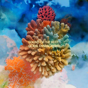 coralreefenneagramsmiapixley