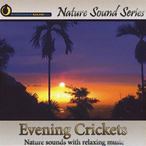 cricket sounds evening nature