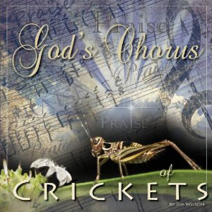 cricket sounds gods chorus