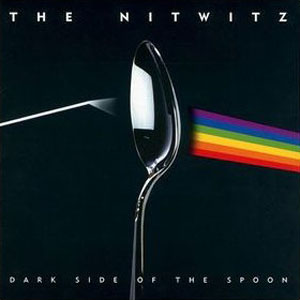 dark side of the spoon the nitwitz