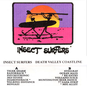 deathvalleycoastlineinsectsurfers
