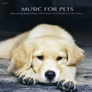 dog calm music for pets