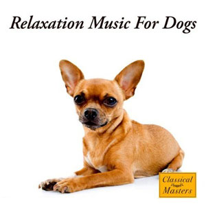 dog calm relaxation music