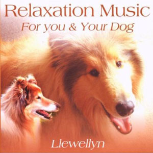 dog calm relaxation music for you