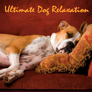 dog calm ultimate relaxation