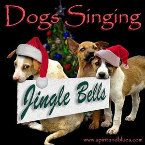 dogs singing jingle bells