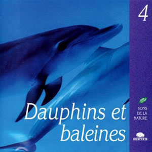 dolphin et baleines