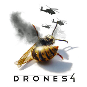 drones4honeybee