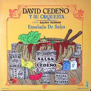 ensaladadesalsa_davidcedeno