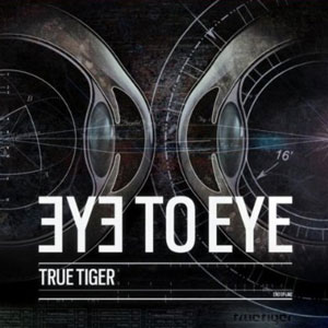 eye to eye true tiger