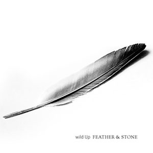 feather and stone various