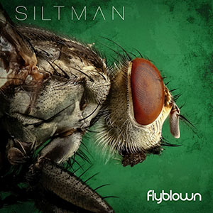 flyblownsiltman