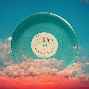 frisbeebonkeysitto