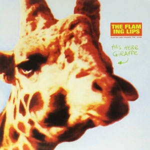 giraffe the flaming lips