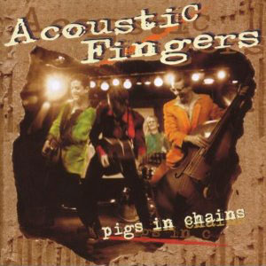 guitar fingers acoustic pigs in chains