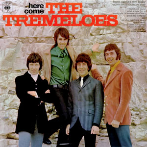 here come the tremeloes