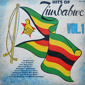 hitsofzimbabwe1various