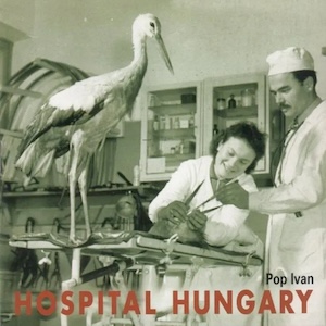 hospitalhungarypopivan