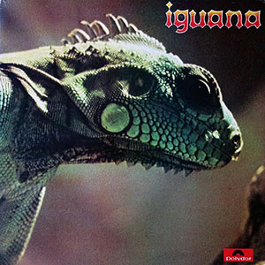 iguanaiguana
