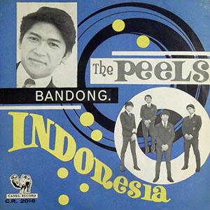 indonesiathepeelsbandong