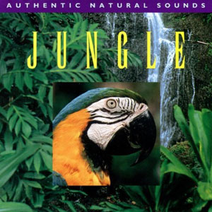 jungle authentic natural sounds
