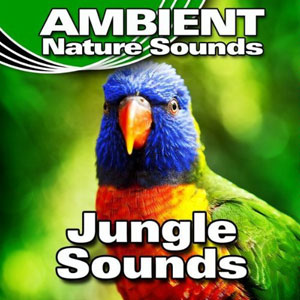 jungle sounds ambient nature