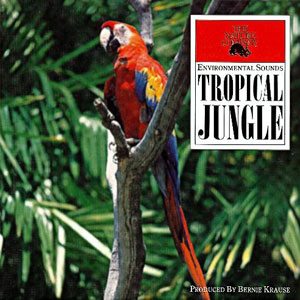 jungle tropical environmental sounds