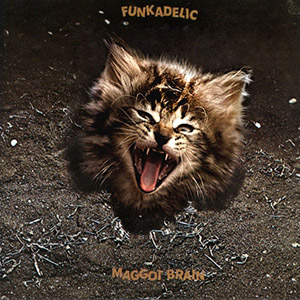 kittenfunkadelicmaggotbrain