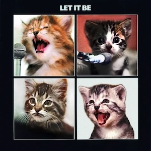 kittensbeatlesletitbe