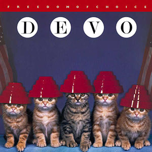 kittensdevofreedomofchoice
