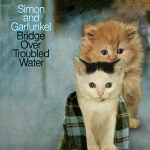 kittenssimongarfunkelbridge