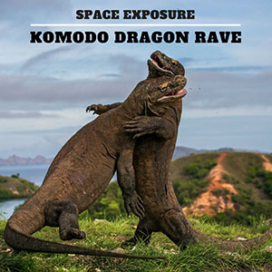 komododragonravespaceexposure