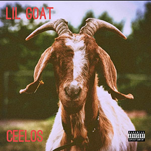 lilgoatcelos