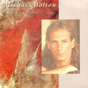 love is a wonderful thing michael bolton