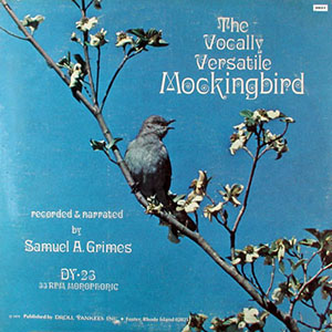 mockingbirdvocallyversatilegrimes