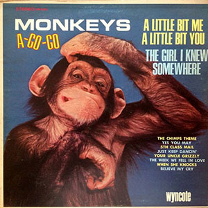 monkeysagogolittlebitmeyou