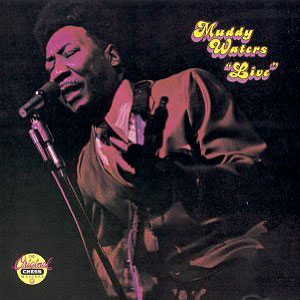 muddy waters live