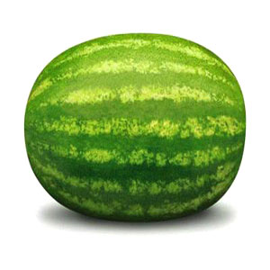 naboaholographicwatermelon