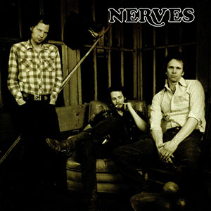 nervesnerves