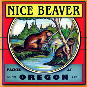 nice beaver packed at oregon