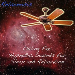 noise ceiling fan relaxnosis
