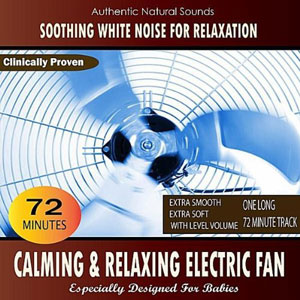 noise electric fan relaxing